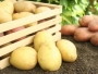 Uskoro izvoz krumpira iz BiH u Europsku uniju