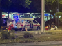 Slavlje zbog Mundijala pretvorilo se u tragediju: Mladić se bori za život nakon pada s krova Audija