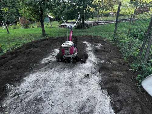 Ne bacajte ovaj prah u smeće nego ga pospijte prije kiše po vrtu i puževi će ga izbjegavati