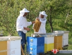 Pčelari upozoravaju – ove godine će biti puno krivotvorenog meda