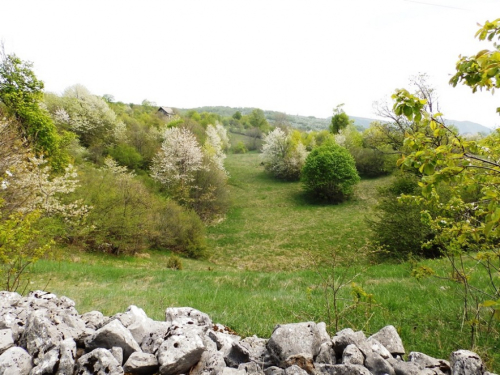 FOTO: ''Škola u prirodi'' na planini Draševo