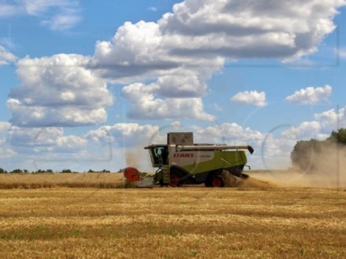 Ukrajina najavila izvoz žitarica "od ovog tjedna"