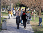 15. studenog svijet bi trebao imati 8 milijardi ljudi
