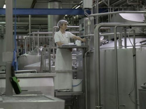 Mljekara Livno za tursko tržište isporučuje prvu narudžba od 20 tona sira