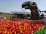 Hercegovina dobiva 3 tvornice za proizvodnju hrane