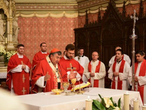 FOTO: Kardinal Puljić za svećenika zaredio Josipa Dedića