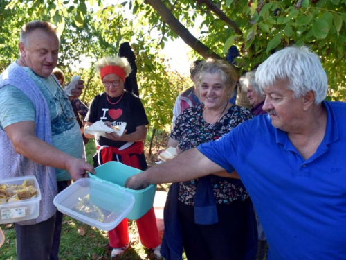 FOTO: Zora i Slavko Bošnjak iz Rame postali pravi vinogradari