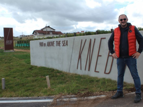 Tomislavgrad: Berbe grožđa u vinogradima KNEBU