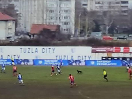 Pas prekidao utakmicu u Tuzli, kaljuža je 'uništila' susret