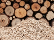 Proizvođači peleta i drva za ogrjev snižavaju cijene