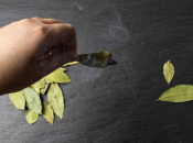 Lovor za miran san i fokus: Smiruje stres, poboljšava san...