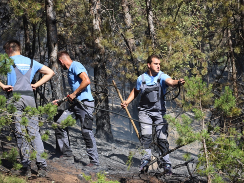 VIDEO/FOTO: Požar u Podboru - Vatrogasci nemoćni, borovina gori nekontrolirano