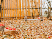 Prije kraja prosinca obavezno napravite ovo u dvorištu - vrt će vam bujati već iduće godine