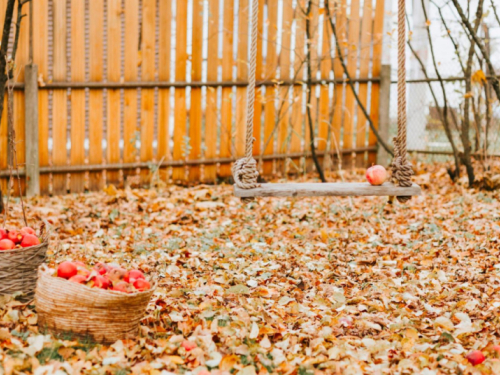 Prije kraja prosinca obavezno napravite ovo u dvorištu - vrt će vam bujati već iduće godine