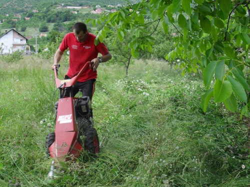 FOTO: Počela je sezona koševine
