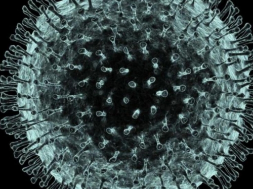 Antitijela nastala u borbi protiv obične prehlade djelotvorna i protiv koronavirusa