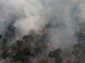Tužni rekord: 3358 požara u Amazoniji