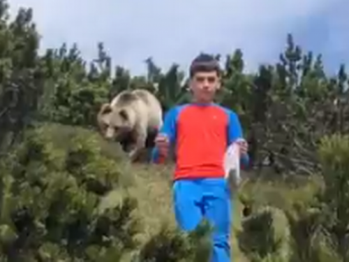 Bliski susret s medvjedom: ''Ne okreći se...''