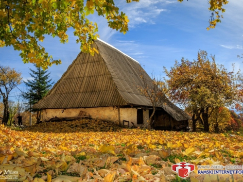 Prezimena Rame: Draševo