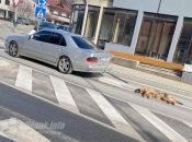 Posušje: Psa zavezanog za automobil vukla po gradu