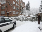 Preminula žena na koju je palo stablo u Sarajevu