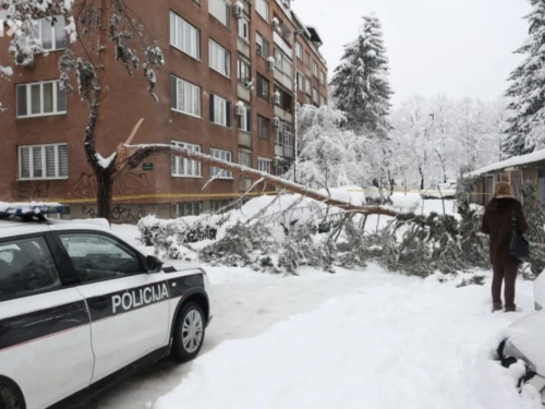 Preminula žena na koju je palo stablo u Sarajevu