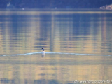 Ramsko jezero - jesen 2014.