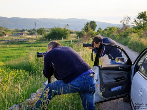 FOTO: Priroda i ljudi - lipanj 2015.