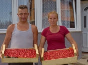 Branjem i prodajom šumskih plodova napravili dvije vikendice