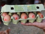 Sanbor jaja iz slobodnog i pokretnog uzgoja stigla u Livno