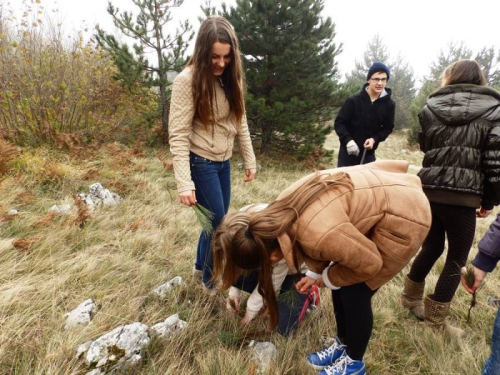 FOTO: Učenici u akciji pošumljavanja