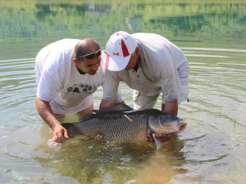 FOTO/VIDEO: U Ramskom jezeru uhvaćen šaran kapitalac od 28,4 kg