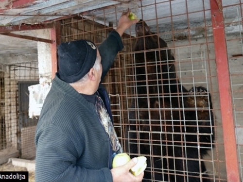 Medvjede nudi tržnim centrima u BiH kao atrakciju