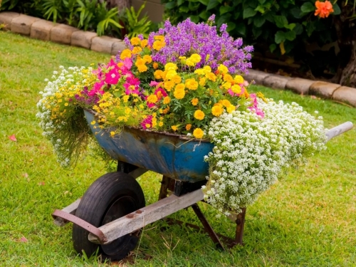 Cvjetnjak možete zasaditi i na krovu, ove biljke obožavaju takav položaj!