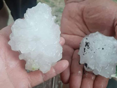 Nevrijeme širom BiH napravilo nemjerljive štete voćnjacima i usjevima