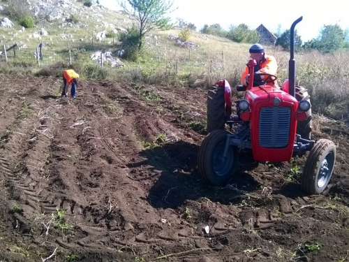 Ubiranje plodova svoga rada