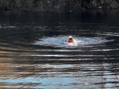 Zimsko kupanje na izvoru rijeke Šujica u jezeru Stražanj