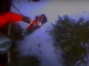 Skijaša na Aljaski izgrizao medvjed, pravio se mrtvim