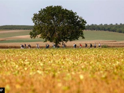 Poljska odbija primiti migrante unatoč pritiscima EU