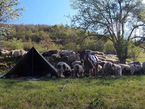 Priča nomada u BiH: Svaki je pos'o težak ako ga nećeš radit'