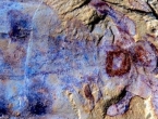Otkriveni fosilni ostaci morskog čudovišta starog pola milijarde godina