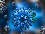 Virus herpesa uspješan borac protiv raka