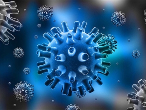 Virus herpesa uspješan borac protiv raka