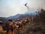 Šest novih požara u Americi, sad ih je ukupno više od 100