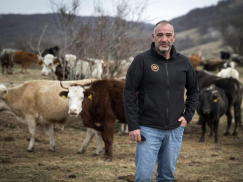 Desetorica braće po oružuju u poslu na Kamešnici