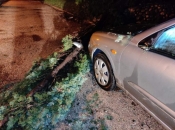 Olujno nevrijeme u Mostaru: Stabla pala na vozila