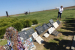 FOTO: Učitelji posjetili Vukovar, Ilok i Đakovo