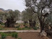 Pokušaj paljenja bazilike kod Getsemanskog vrta