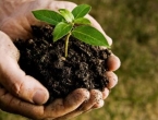 Budite dio velike ekološke akcije - „Let's Do It – milion sadnica za jedan dan“