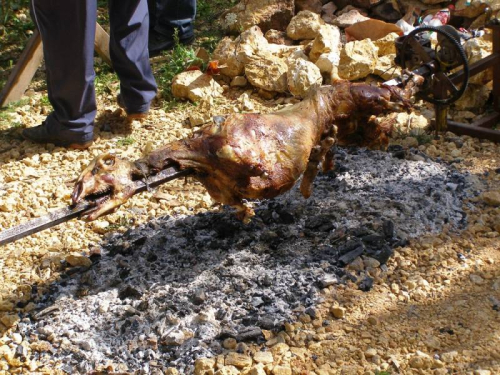 FOTO: Druženje Rumbočana iz Donjeg sela